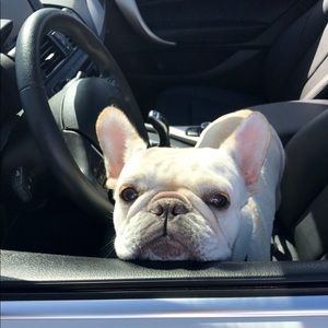 Meet your Posher, Annette